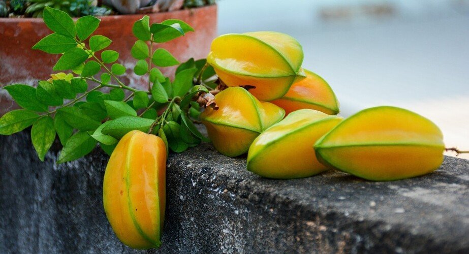 Carambola uma fruta saborosa e nutritiva